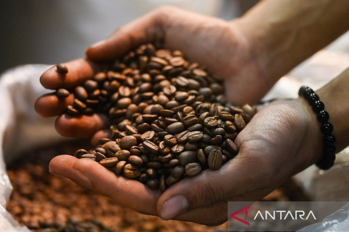 Ragam jenis kopi Indonesia – ANTARA News